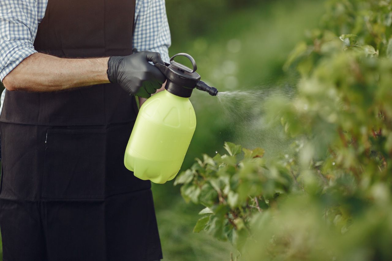 Roundup Ultra Plus