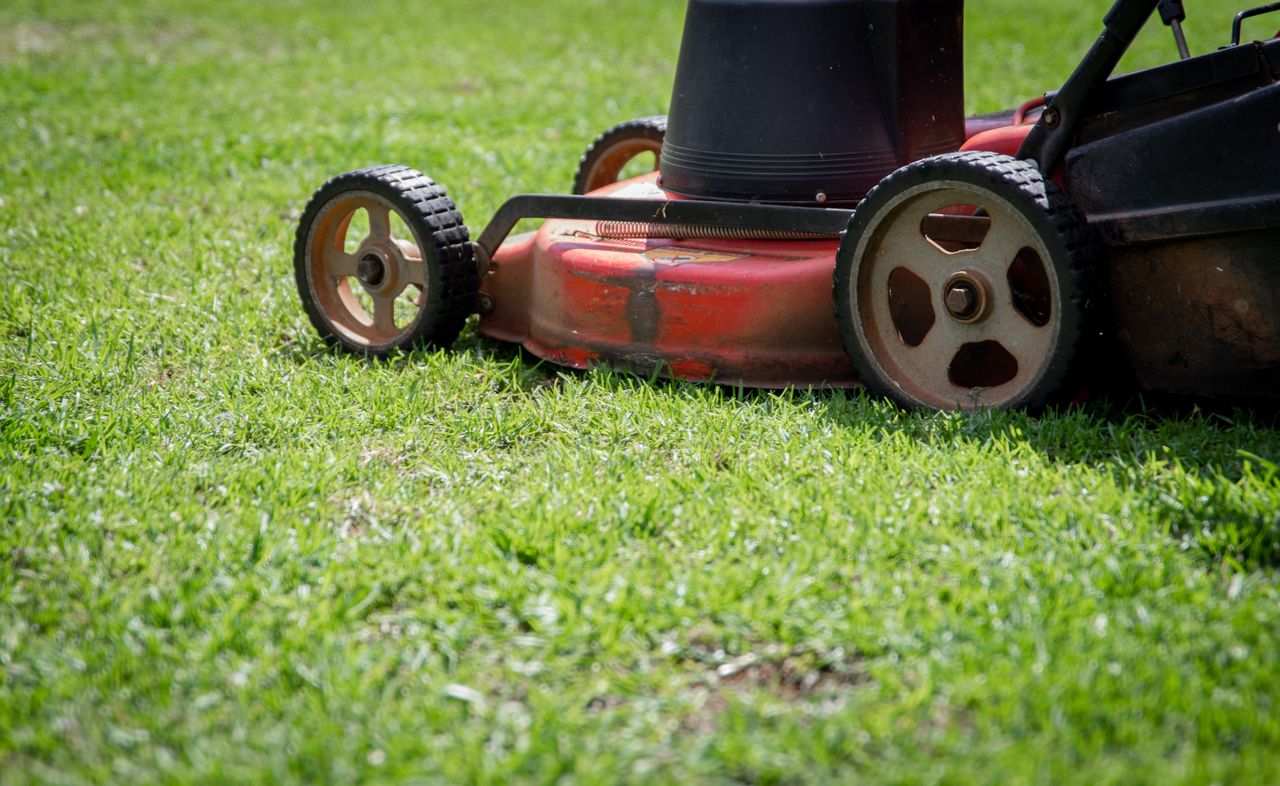 Robot tondeuse Worx Landroid WR147E