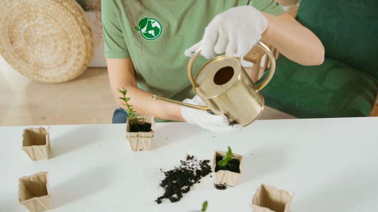 Arroser les plantes avec du bicarbonate de soude