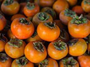 Persimmon et kaki