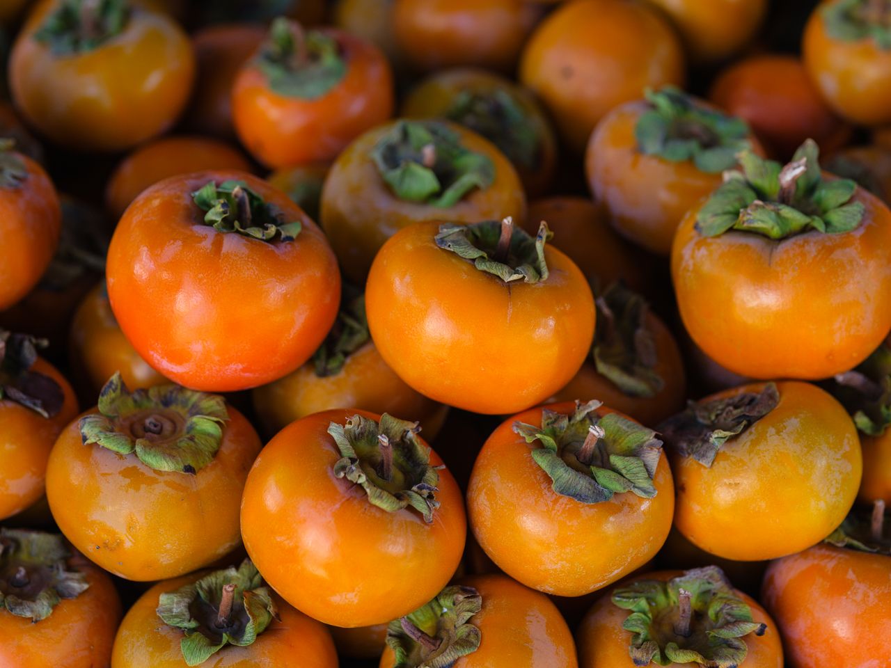 Persimmon et kaki